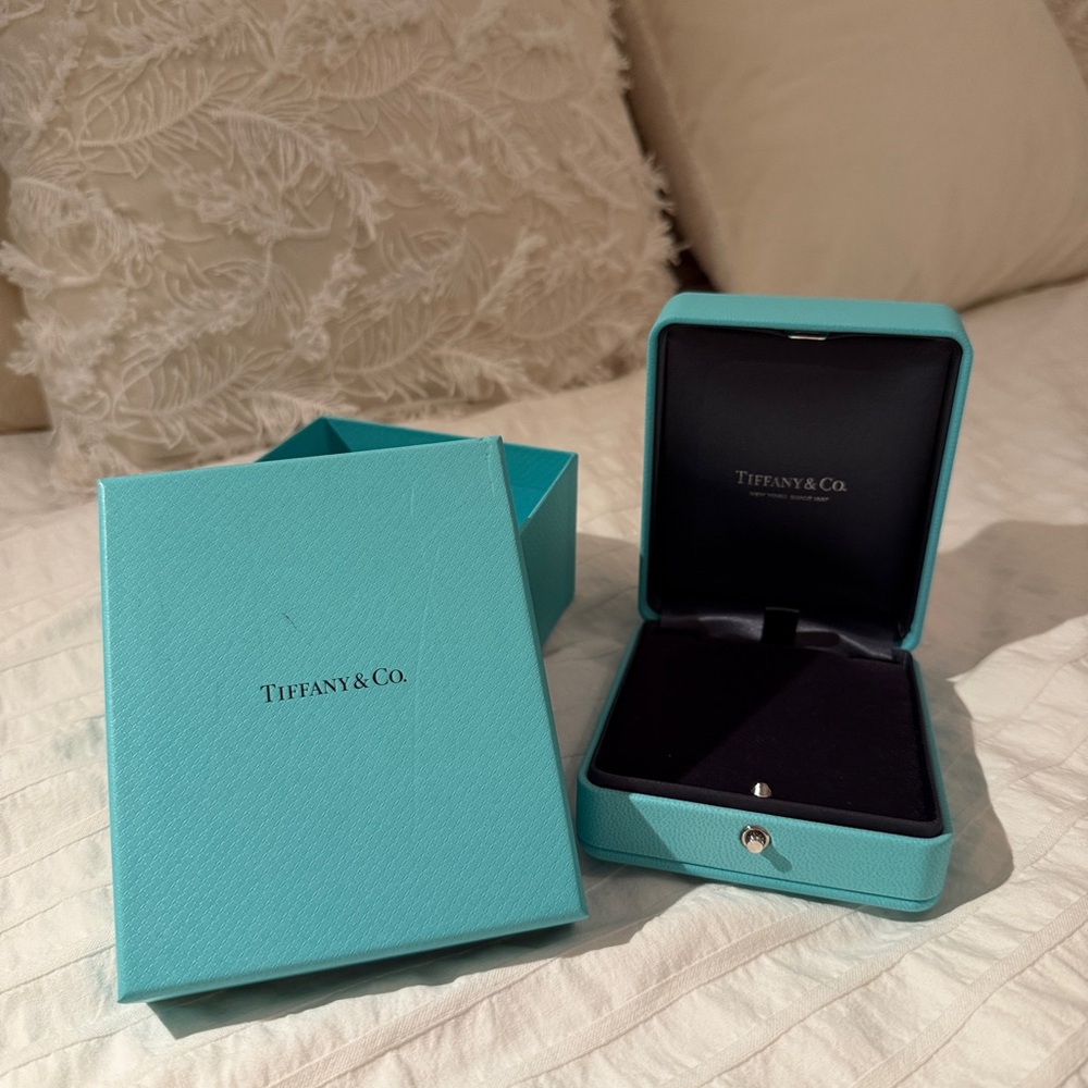 Tiffany & Co. Turquoise Jewelry Case